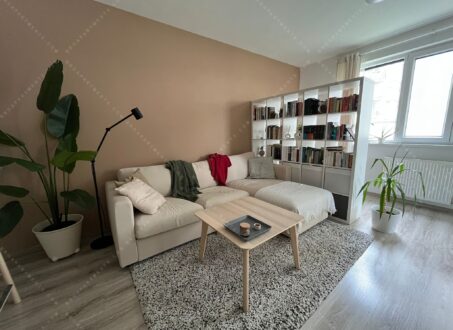 Stylish Apartment with Terrace – from August