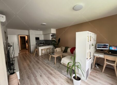 Stylish Apartment with Terrace – from August