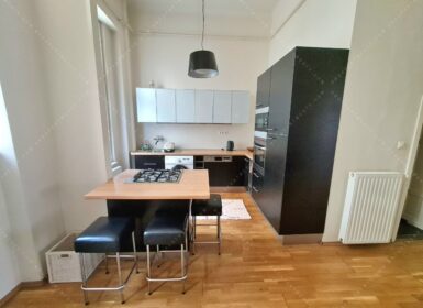 Renovated One-bedroom in the center