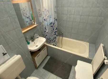Studio-Like 1-Bedroom Apartment for Rent at Corvin Promenade