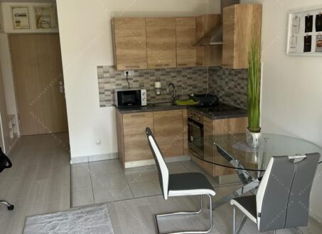 ✨ Studio Apartment for Rent on Corvin Promenade ✨