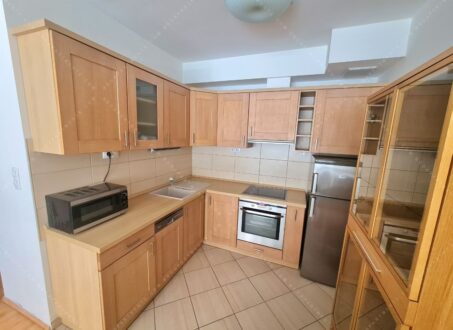 Sunny and unique One-bedroom in Corvin Setany