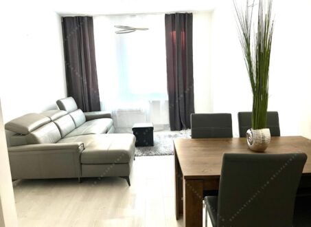 Modern 1-Bedroom Apartment for Rent on Corvin Promenade – from August