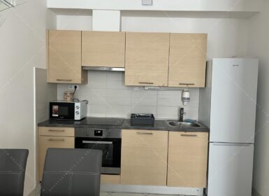 Modern 1-Bedroom Apartment for Rent on Corvin Promenade – from August