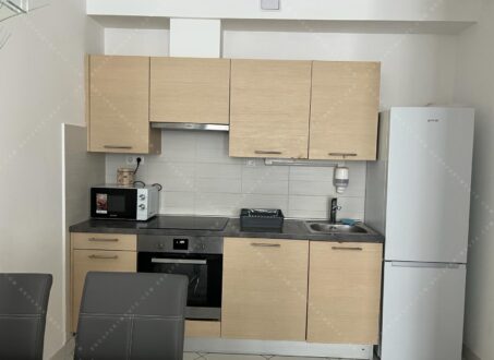 Modern 1-Bedroom Apartment for Rent on Corvin Promenade – from August