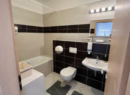 Modern 1-Bedroom Apartment for Rent on Corvin Promenade – from August
