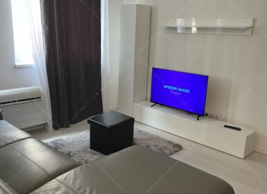 Modern 1-Bedroom Apartment for Rent on Corvin Promenade – from August