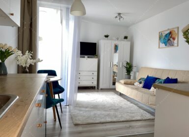 Modern Studio Apartment for Rent – Next to Semmelweis University – from August
