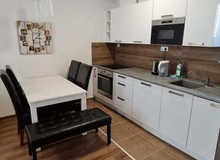 Modern 2-Bedroom Apartment for Rent – Corvin Promenade – from August