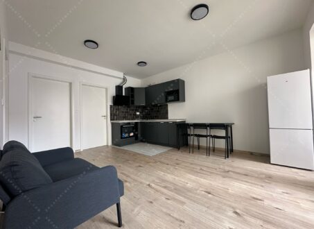 For Rent: Apartment in Budapest, Vajdahunyad u.