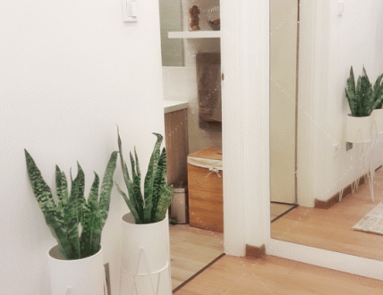 Charming 1-Bedroom Apartment for Rent in a UNESCO Heritage Building