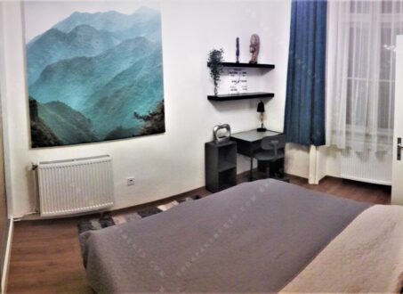 Charming 1-Bedroom Apartment for Rent in a UNESCO Heritage Building