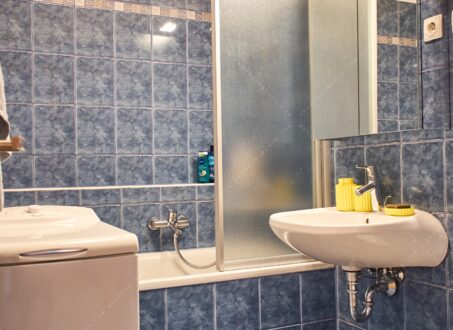 Charming Flat for Rent in Budapest’s Palace District