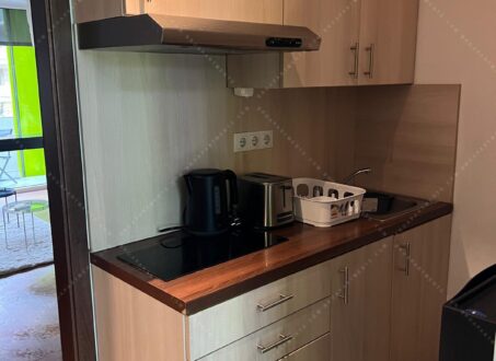 Studio Apartment for Rent – Corvin Sétány, Átrium Building