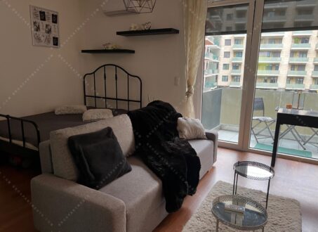 Studio Apartment for Rent – Corvin Sétány, Átrium Building
