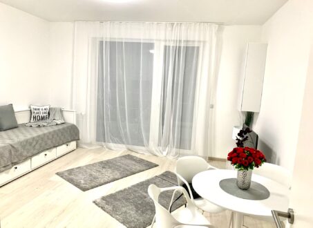 Fully furnished studio apartment for rent – From November