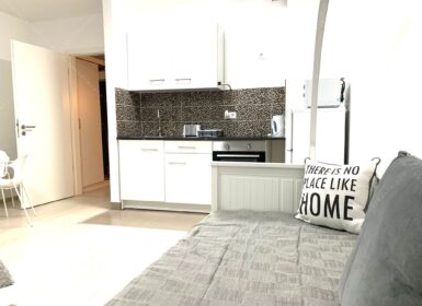 Fully furnished studio apartment for rent – From November