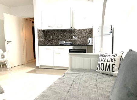 Fully furnished studio apartment for rent – From November