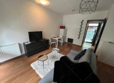 Studio Apartment for Rent – Corvin Sétány, Átrium Building