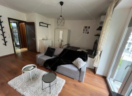 Studio Apartment for Rent – Corvin Sétány, Átrium Building