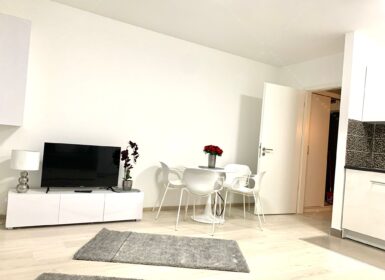 Fully furnished studio apartment for rent – From November