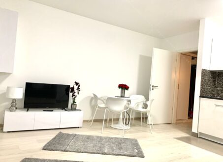 Fully furnished studio apartment for rent – From November