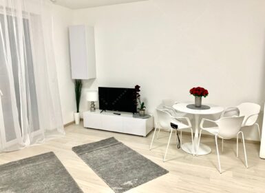 Fully furnished studio apartment for rent – From November