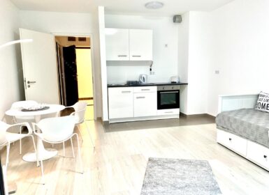 Fully furnished studio apartment for rent – From November