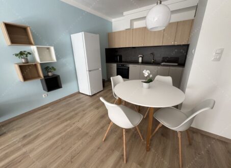 Freshly renovated one-bedroom in Corvin Sétány