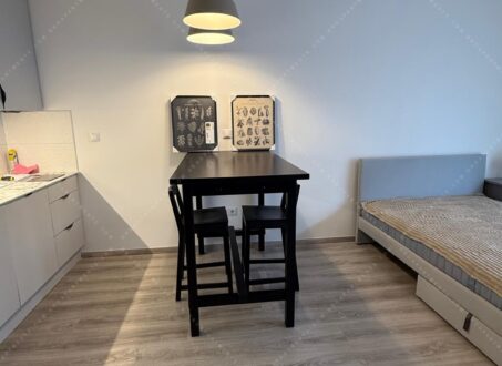 Brand-new Studio with Balcony for Rent – District XIII, Near Westend & Lehel tér