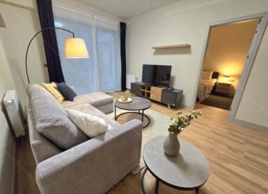 Newly-built One-bedroom apartment in Citypearl residence