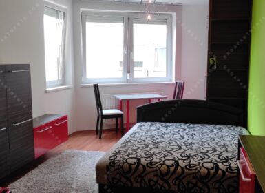 Budget-friendly studio in the 9th district