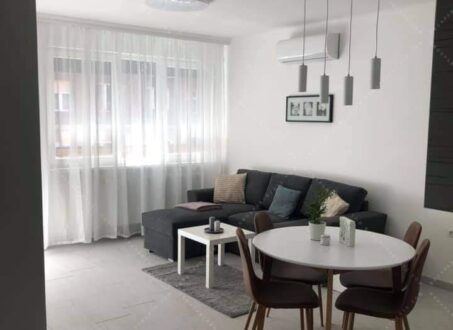 Fully furnished, completely renovated modern apartment for rent from 1 January 2026