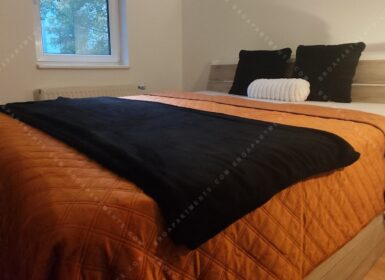 For Rent – Modern 1-Bedroom with Terrace | Budapest IX, Ferenc tér