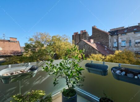 Modern Two-bedrooms in the center