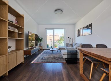 Modern Two-bedrooms in the center