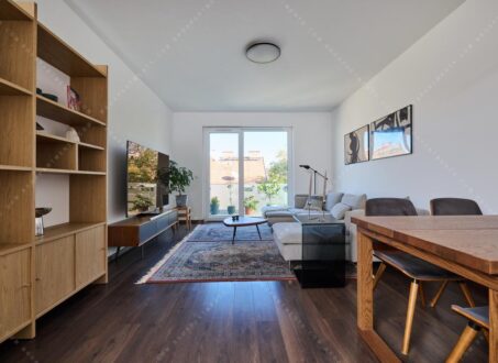 Modern Two-bedrooms in the center