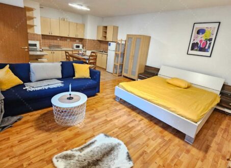 Modern studio in the center of Budapest