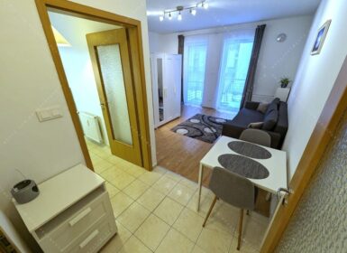 Studio close to veterinary university