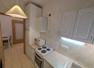 Studio close to veterinary university