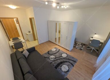 Studio close to veterinary university