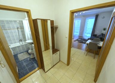 Studio close to veterinary university