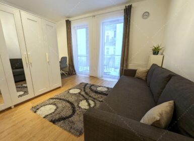 Studio close to veterinary university
