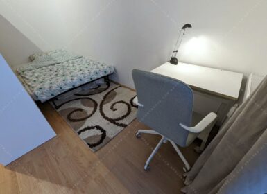 Studio close to veterinary university