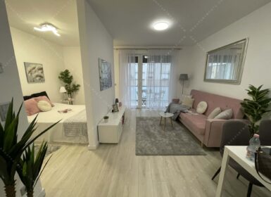 Brand New Apartment for Rent in Corvin Next