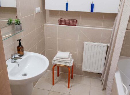 Apartment for Rent in Downtown Budapest – Paulay Ede Street