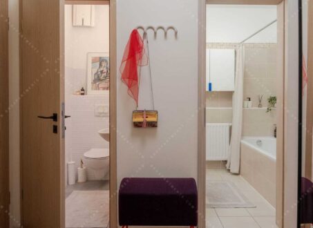 Apartment for Rent in Downtown Budapest – Paulay Ede Street