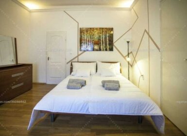 Unique 2-Unit Layout Apartment for Rent – Asbóth utca 19