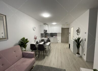 Brand New Apartment for Rent in Corvin Next