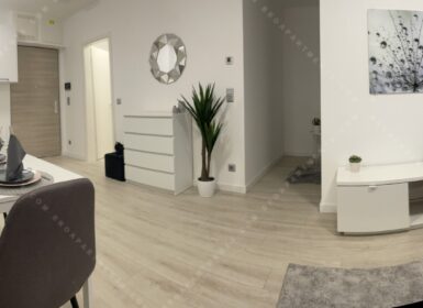 Brand New Apartment for Rent in Corvin Next